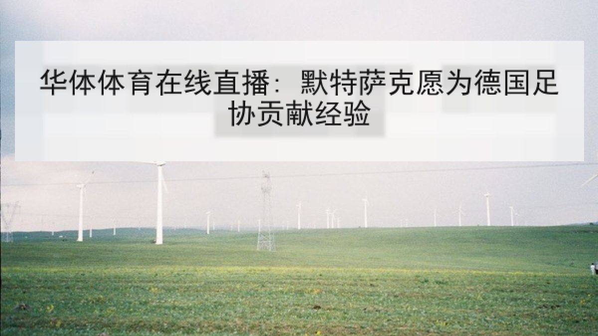 华体体育在线直播: 默特萨克愿为德国足协贡献经验
